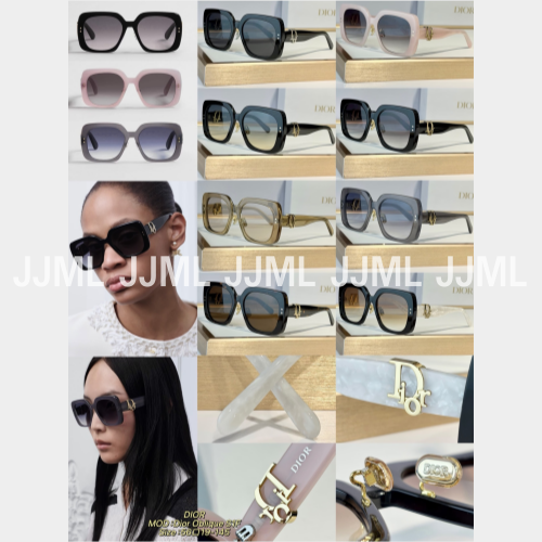 디올 선글라스 Dior Oblique S1F