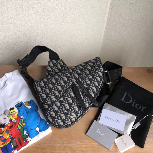 디올 오블리크 새들백 1ADPO093YKY_H28E